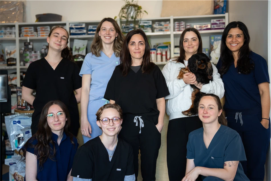 Équipe de la Clinique vétérinaire du Vieux-Rosemont